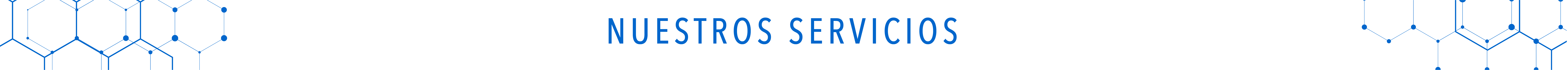 nuestros servicios
